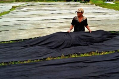 Tác phẩm ấn tượng về người lao động làm nghề thủ công